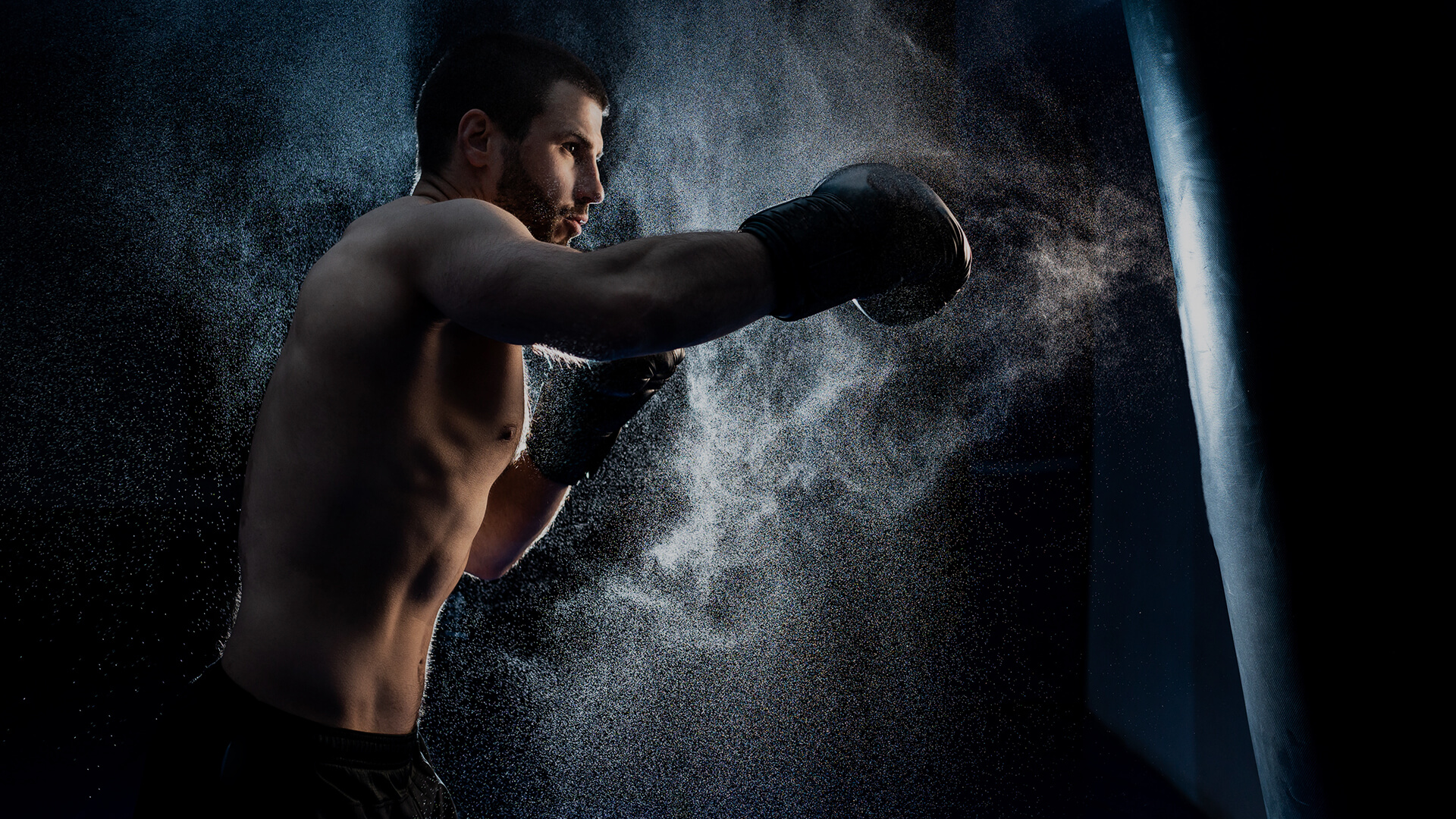 owl-carousel-video-image